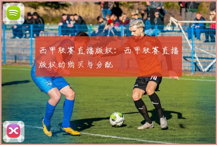 西甲联赛直播版权：西甲联赛直播版权的购买与分配